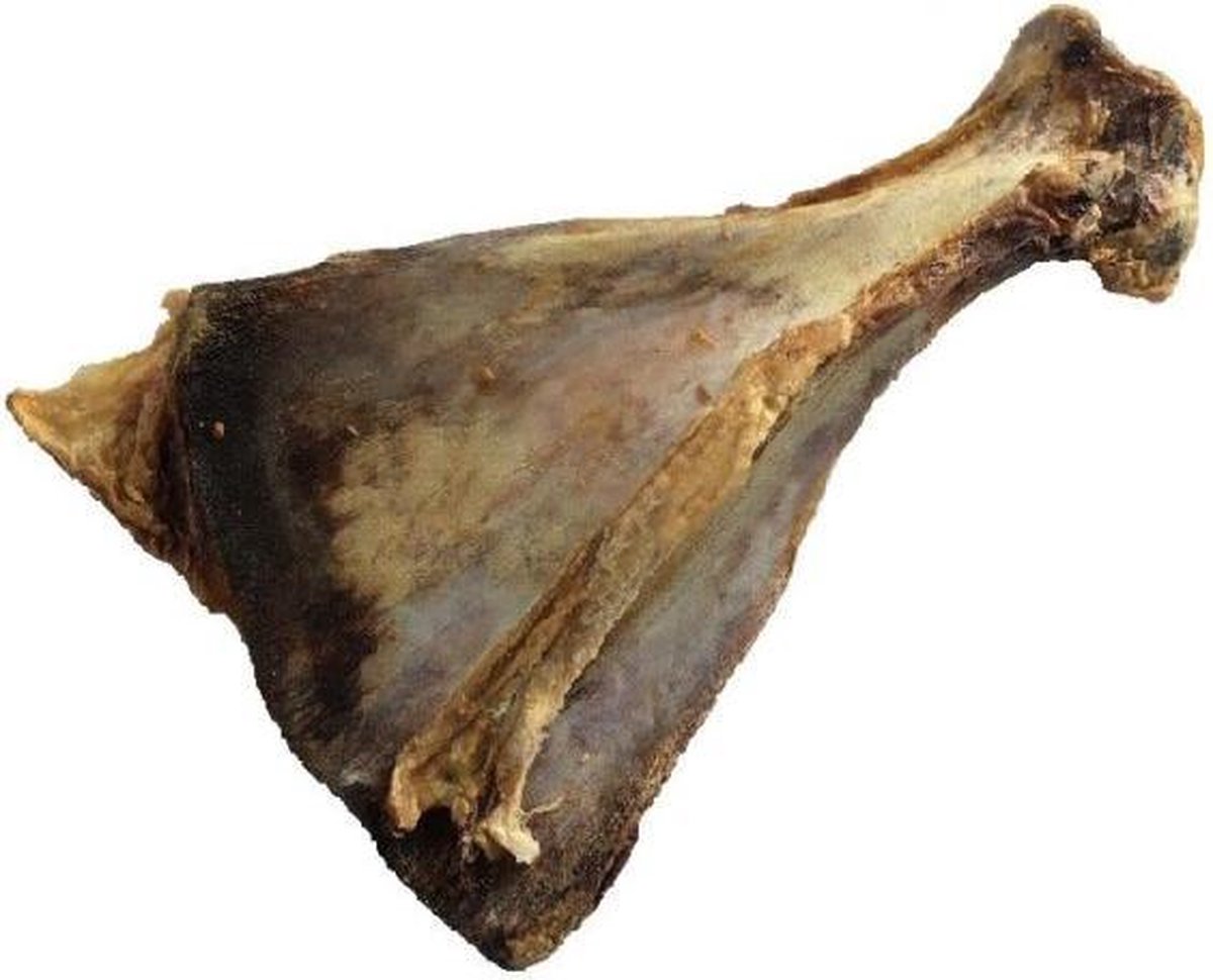 Dogbite Kalfs Schouderblad