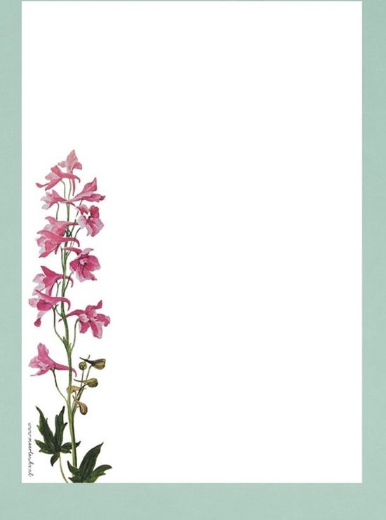 Papier à lettres - 24 feuilles format A4 - Larkspur - Papier à lettres avec fleurs - Meer Leuks
