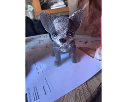 starwolf, beeld chihuahua, zwart/wit, geschenk, decoratie