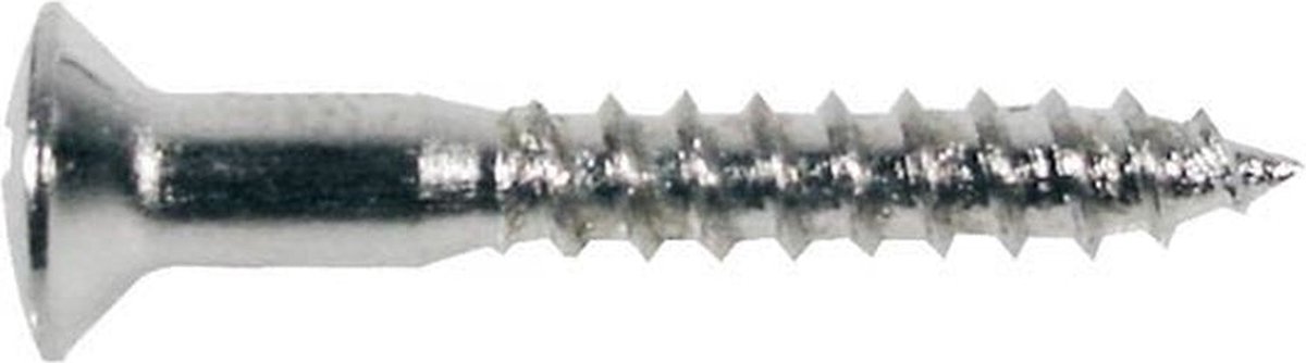 Boston WS-04-C Chroom Ovalen Schroeven 3,5x25mm (12 stuks)