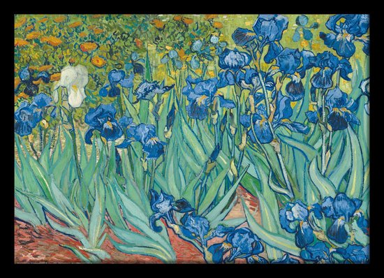 Vincent van Gogh irissen-bloemen poster Luxe uitvoering compleet met lijst Aanbieding 50x70cm.