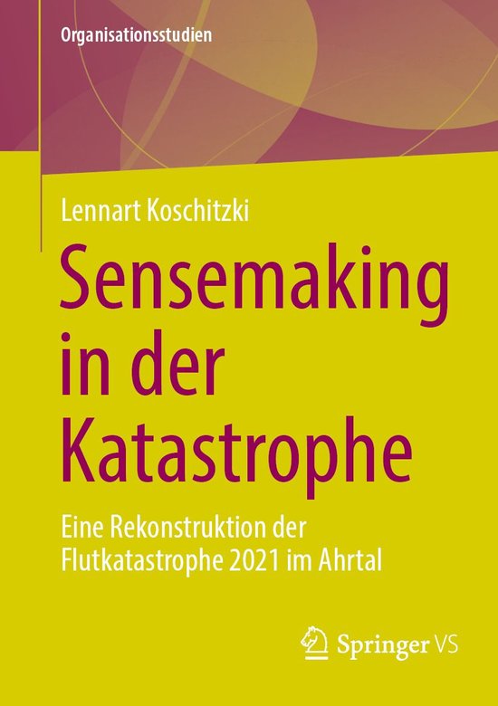 Organisationsstudien - Sensemaking in der Katastrophe - cover