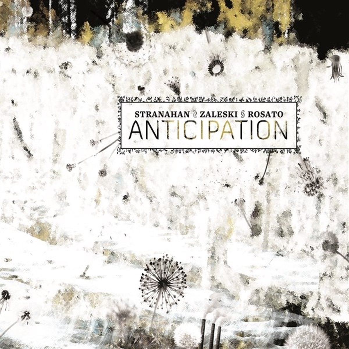 Colin Stranahan, Glenn Zaleski & Rick Rosato - Anticipation (CD)