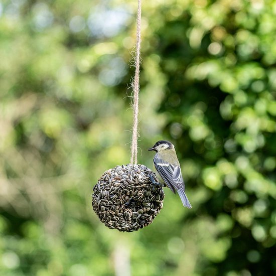 CJ Wildlife Ring voor Tuinvogels