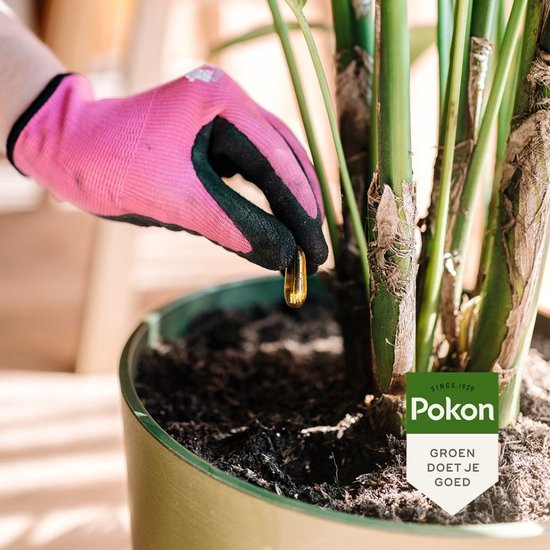 Pokon Bio Kuur voor Weerbare en Gezonde Kamerplanten - Capsules - 12 stuks - Geschikt voor alle kamer-, buitenplanten en moestuin
