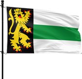 De vlag van Druten wappert aan een vlaggenmast. De vlag is zwart met een gele leeuw en drie horizontale banen.