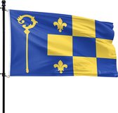 Blauwe vlag met een dambordpatroon van gele en blauwe ruiten, met twee gele fleurs-de-lis en een gele staf.