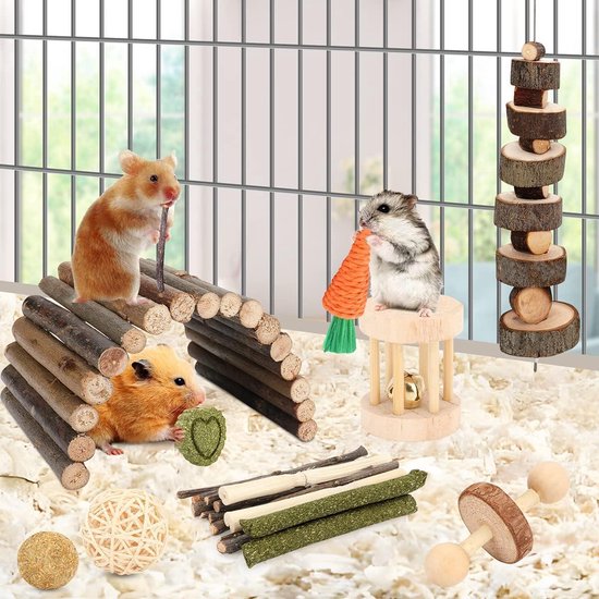 Hamsterspeelgoed Van Hout - 6 Stuks, Doe-het-zelf
