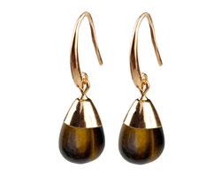Edelstenen oorbellen Gold Dip Tiger Eye - oorhangers - bruin - goud - tijgeroog - sieraden zakje - kerst cadeau - Moederdag cadeau