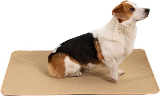 Pet Magasin Zeer absorberende, herbruikbare en wasbare trainingspads voor huisdieren met waterdichte onderkant, 3 stuks, grijs, geschikt voor standaard kooi, M 83,8 cm x 50,8 cm (3 stuks