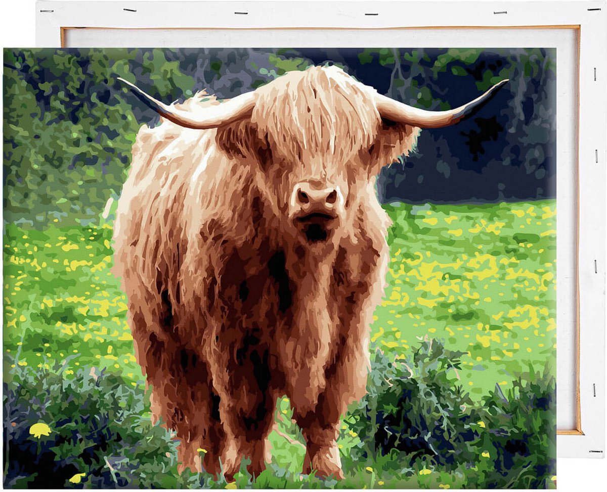 Schilderen Op Nummer Volwassenen DIY Paint By Number Compleet Hobby Pakket op Frame met Vernis Scottisch Highlander - ®Arty Bee - Schotse Hooglander Deluxe 50x40cm — afbeelding 9