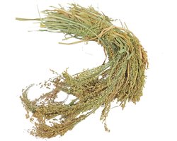 Jr Farm Parel Gierst - Vogelvoer - 14x5.5x30 cm 100 g