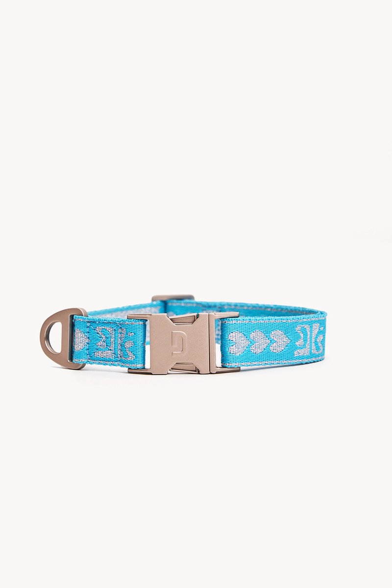 Dogguo Collar Blauw&Zilver - Hondenhalsband - Kleine Honden