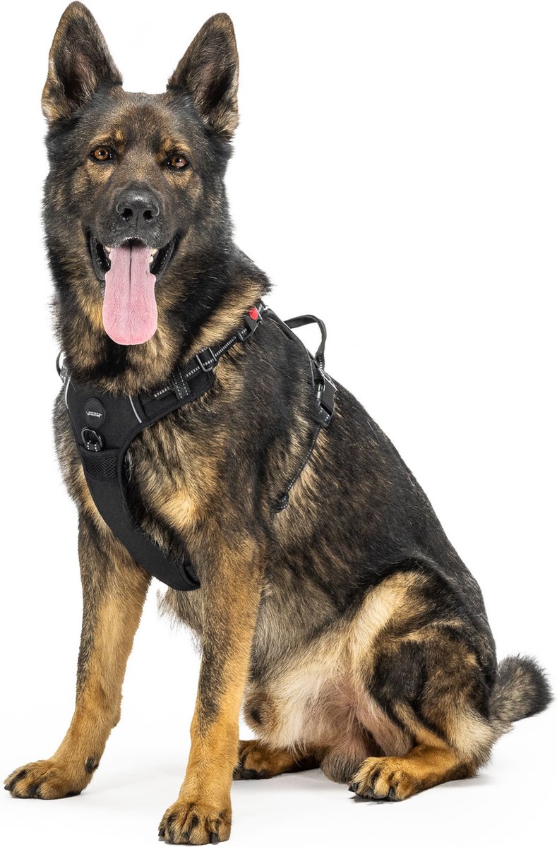 Mister Mill Hondentuigje 3x Klikgesp Maat M Zwart - Anti-Trek Tuig Hondenharnas - Y Tuig Hond Reflecterend