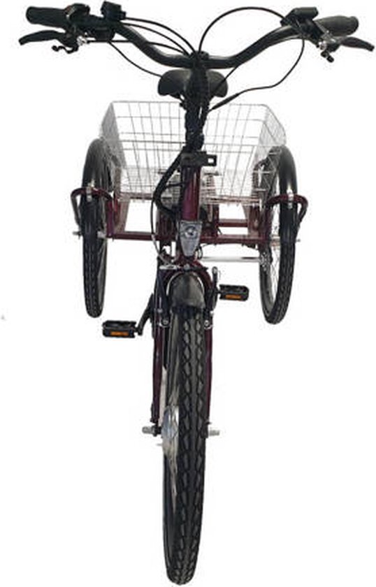 DKR2 Senior Maxi Swing tricycle