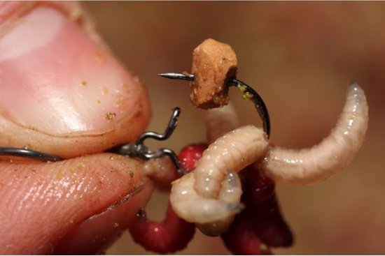 Korda Maggot Clip - Madenclip - Maat S van Korda — afbeelding 5