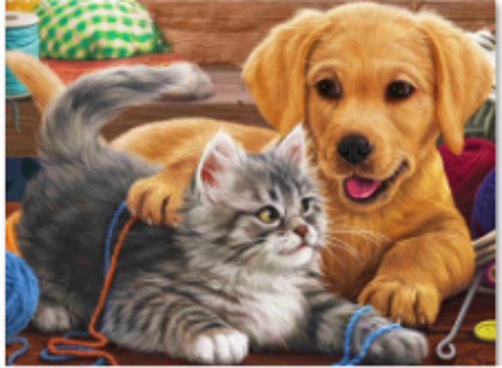 Rubye® Diamond Painting Volwassenen - Diamond Painting Kinderen - Diamond Painting Pakket Volledig - Kitten en Puppy - 40x30cm