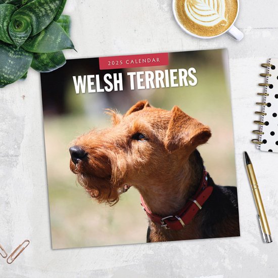 Welsh