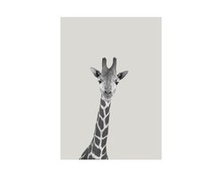 HappyBook - Notitieboek - Dieren - Giraffe - Grijs - Gelijnd - School - Studie - Werk - Boekenlegger - Elastiek - Lijntjes - Schrijven - Zakelijk - Business - Relatiegeschenk - Business - Notities - Herinneringen - Travel - Journal - Dieren - Reizen