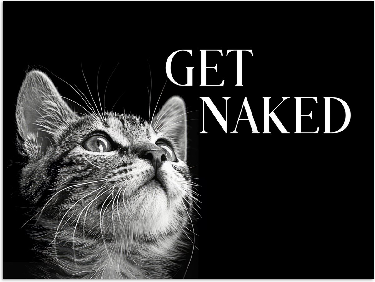 Poster 80x60 cm - Kat - Dieren - quote - Get naked - Zwart - Posters - Wanddecoratie badka