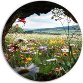 doorkijk wandschaal - Bloemen muurcirkels - Rond schilderij Planten - Muurdecoratie kinderkamer - Muurcirkel - Kunstwerk muurcirkel aluminium 60x60 cm
