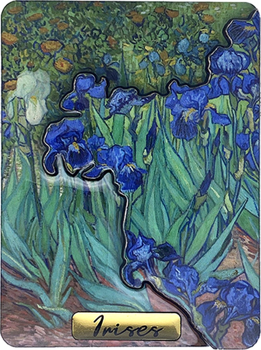 Memoriez 2D Magneet Irises Van Gogh