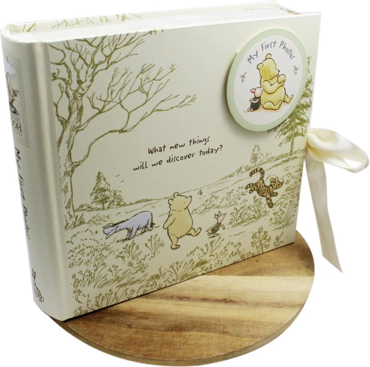 Disney Widdop &Co. Fotoboekje Winnie the Pooh / My First Photos 19 cm