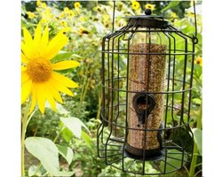 Bird-Feeder | Zaad Voedersilo Voor Kleine Vogels Met Beschermkooi - 4 Zitstokjes - Groen - Metaal