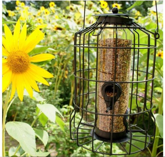 Beschermpakket mini zaden 23 cm