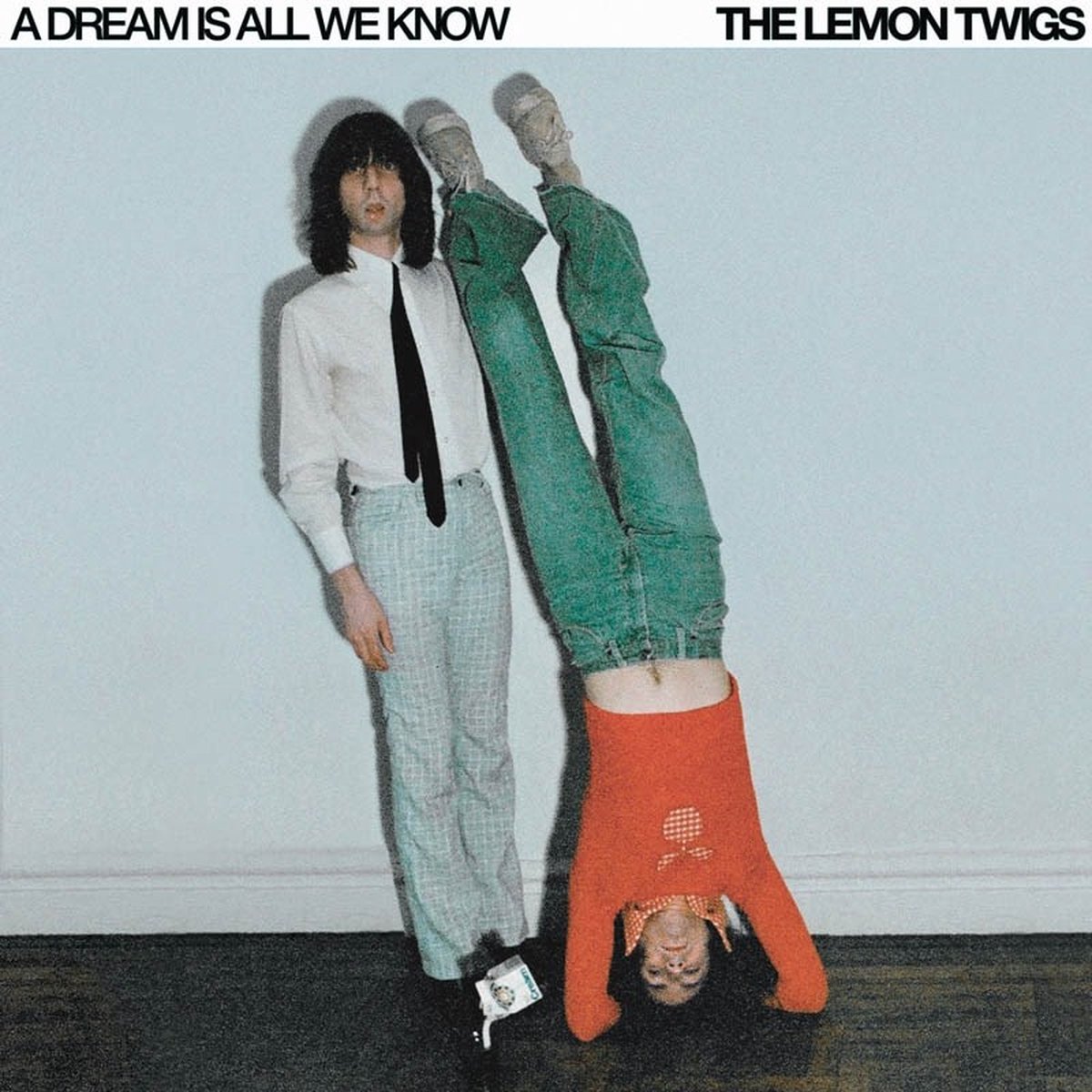 Lemon Twigs - A Dream Is All We Know (LP)