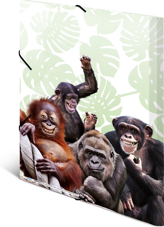 HERMA Monkey gang, Chemise adhésive conventionnelle, A3, Polypropylène (PP), Multicolore, Bande élastique, 335 mm