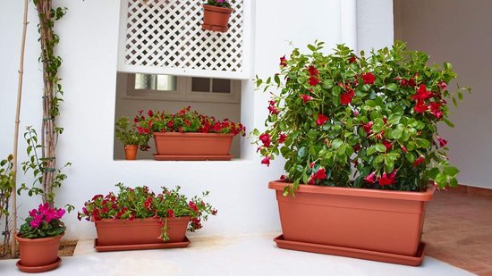 Jardinière XL 60 cm Anthracite - Variant Venezia