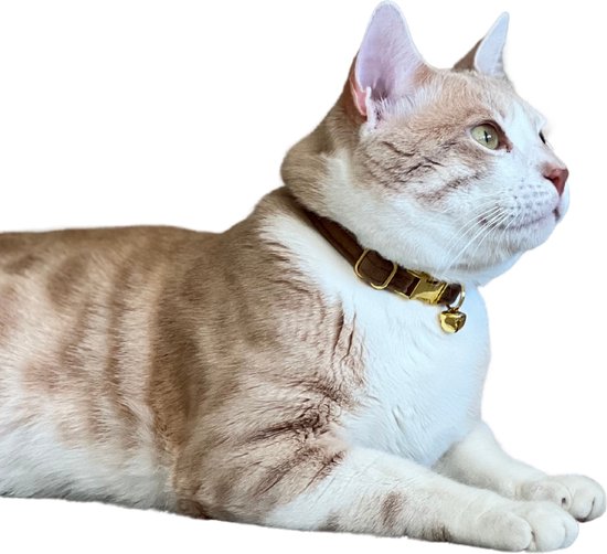 2 Stuks Leren Kattenhalsband Met Bel – Zacht PU-leer, Veiligheidssluiting, Verstelbaar (20-30 Cm) – Voor Katten, Kittens En Kleine Puppy’s – Bruin & Zwart