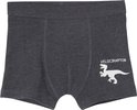 Donkergrijze boxer met een witte Velociraptor-print rechts.