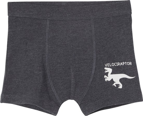 Donkergrijze boxer met een witte Velociraptor-print rechts.