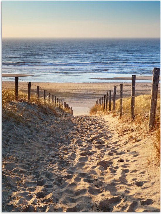 Affiche Plage - Mer - Pays- Nederland - Dunes - Soleil - 60x80 cm