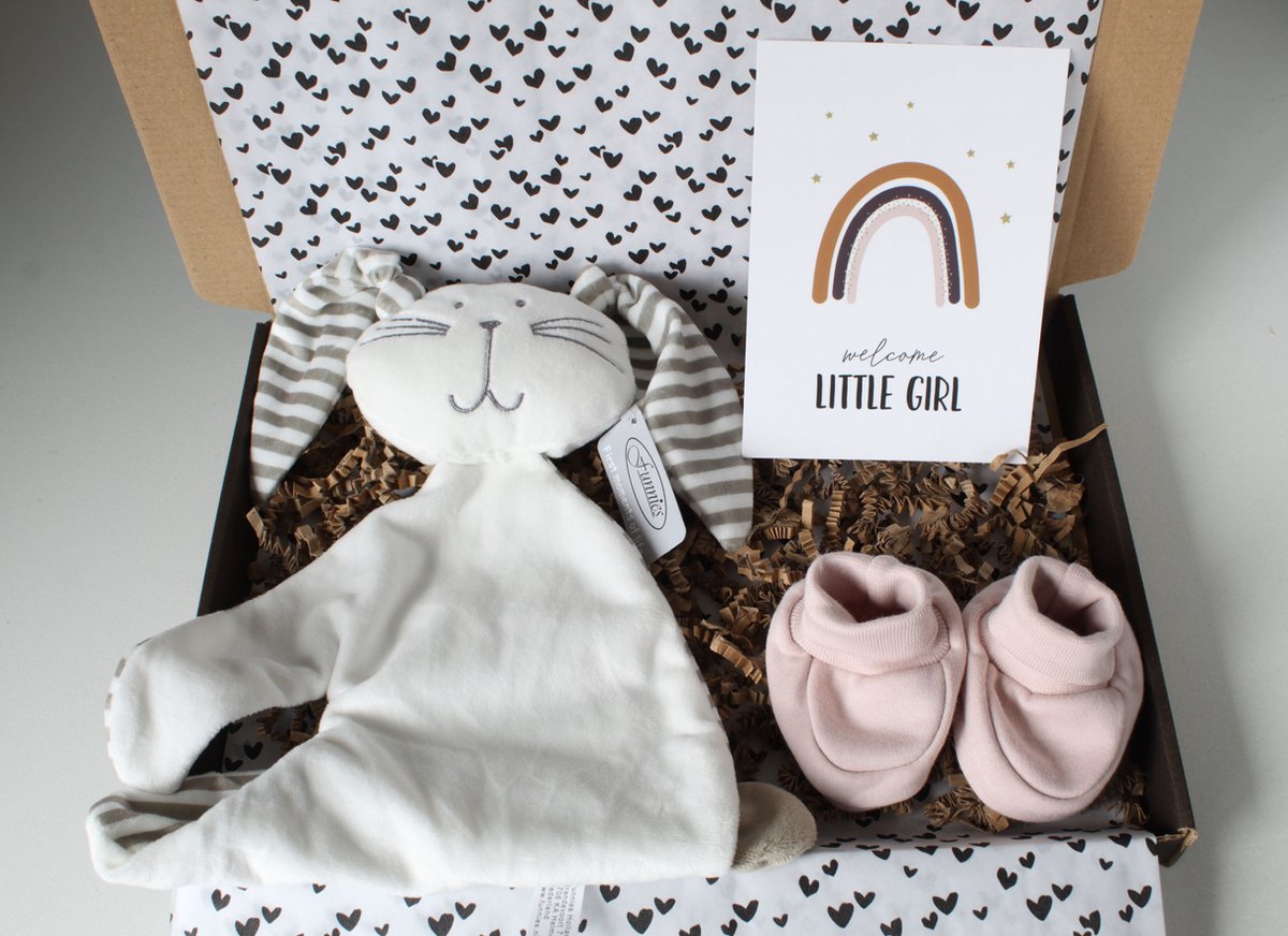 Goedkoopste Brievenbus cadeau 'welcome little girl'- cadeau baby - cadeau zwangerschap - kraamcadeau - cadeau baby meisje