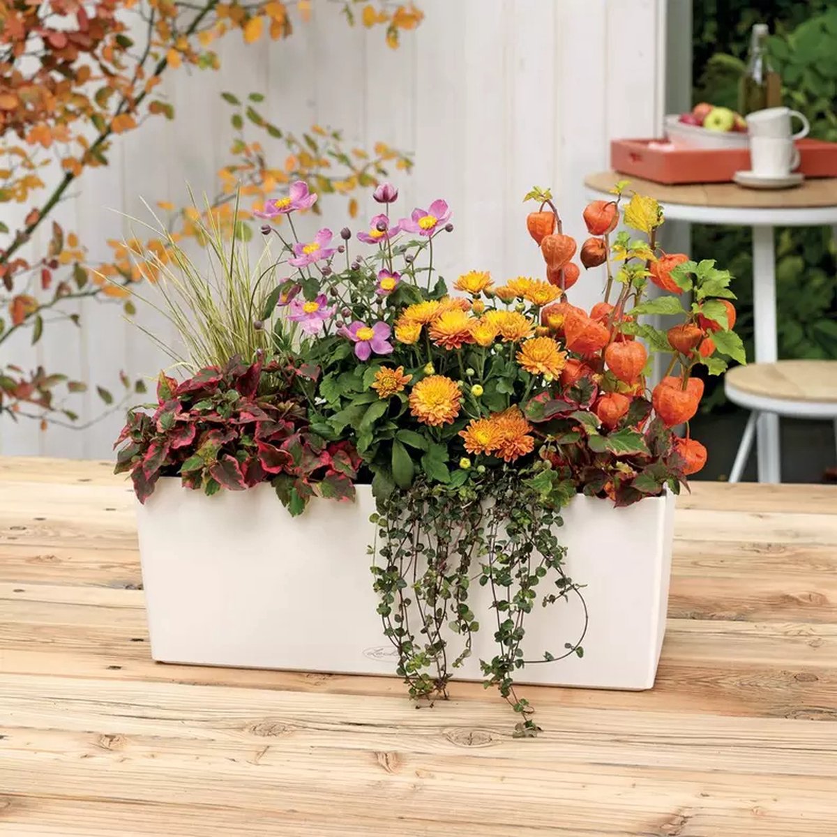 Lechuza Balconera Color 50 - Jardinière - avec pot intérieur amovible