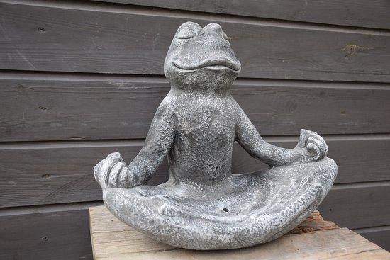 Grenouille Zen avec coquille