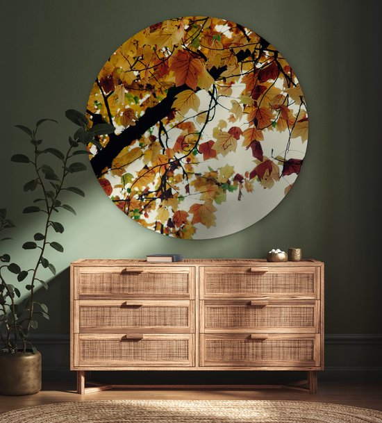 WallCircle - Wall Circle - Wall Circle Indoor - Arbres - Feuilles d'Automne - Nature - 120x120 cm - Décoration murale - Peintures Ronds XXL