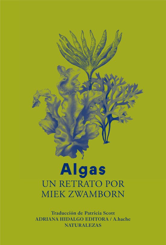 A.hache/naturalezas - Algas - cover