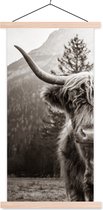 Porte-affiche avec affiche - Affiche scolaire - Highlander écossais - Taureau - Zwart - Wit - 90x180 cm - Lattes transparentes