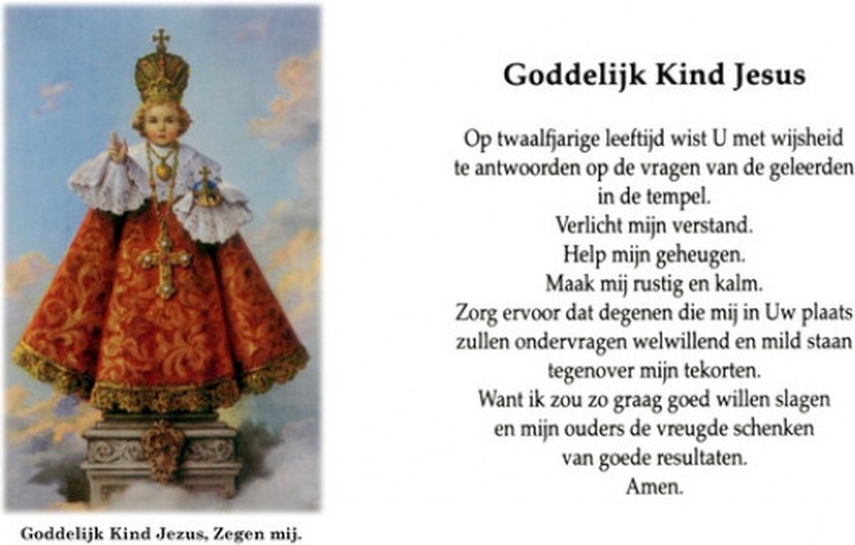 Noveenkaars Wit Goddellijk Kind Van Praag 09