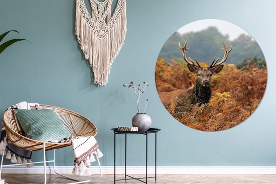 Een hert met grote geweien staat in herfstkleurig struikgewas, met een fauteuil en macramé decoratie op de achtergrond.