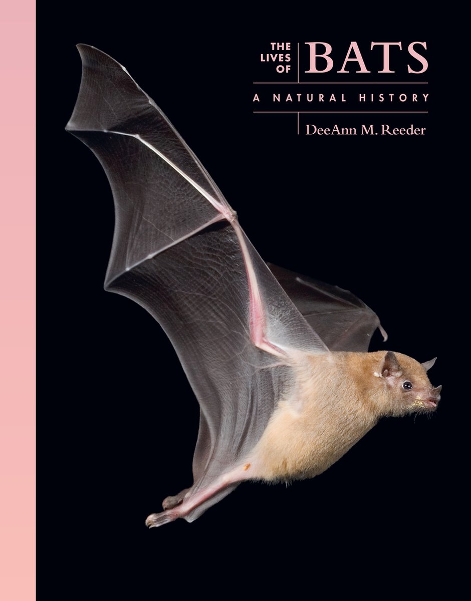 Omslag van The Lives of the Natural World-The Lives of Bats