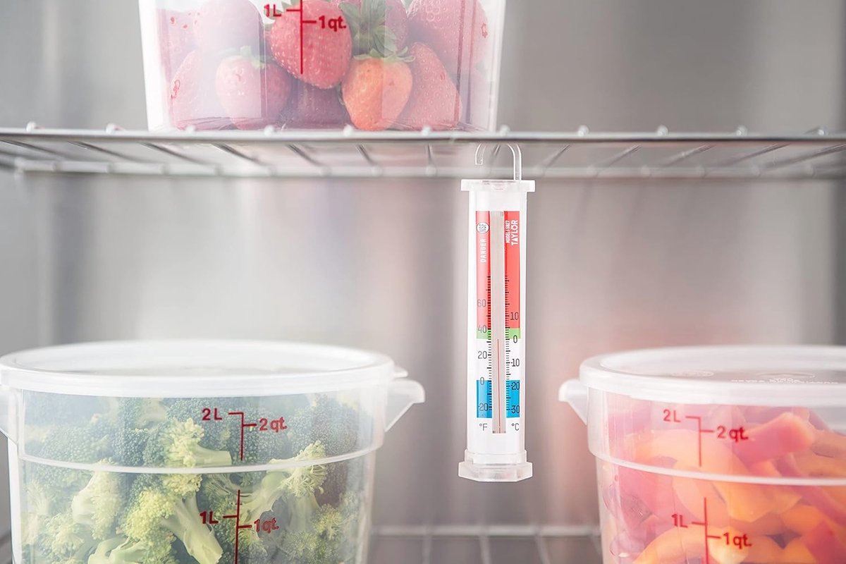 Koelkast Thermometer en Vriezer Thermometer - 3,1 x 2,8 x 14,9 cm - Nauwkeurige Temperatuurmeting