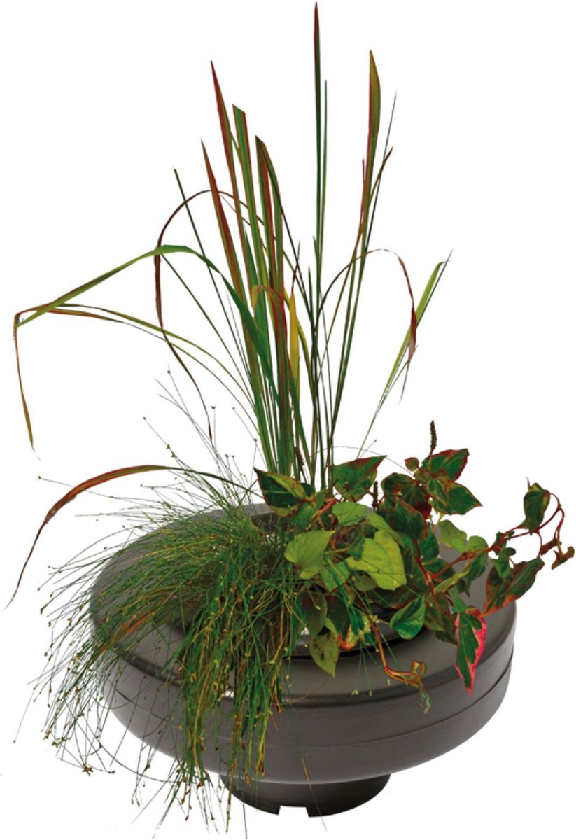 SuperFish Floating Plant Basket 22CM Doorsnede