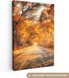 Orange, Forêt d'automne