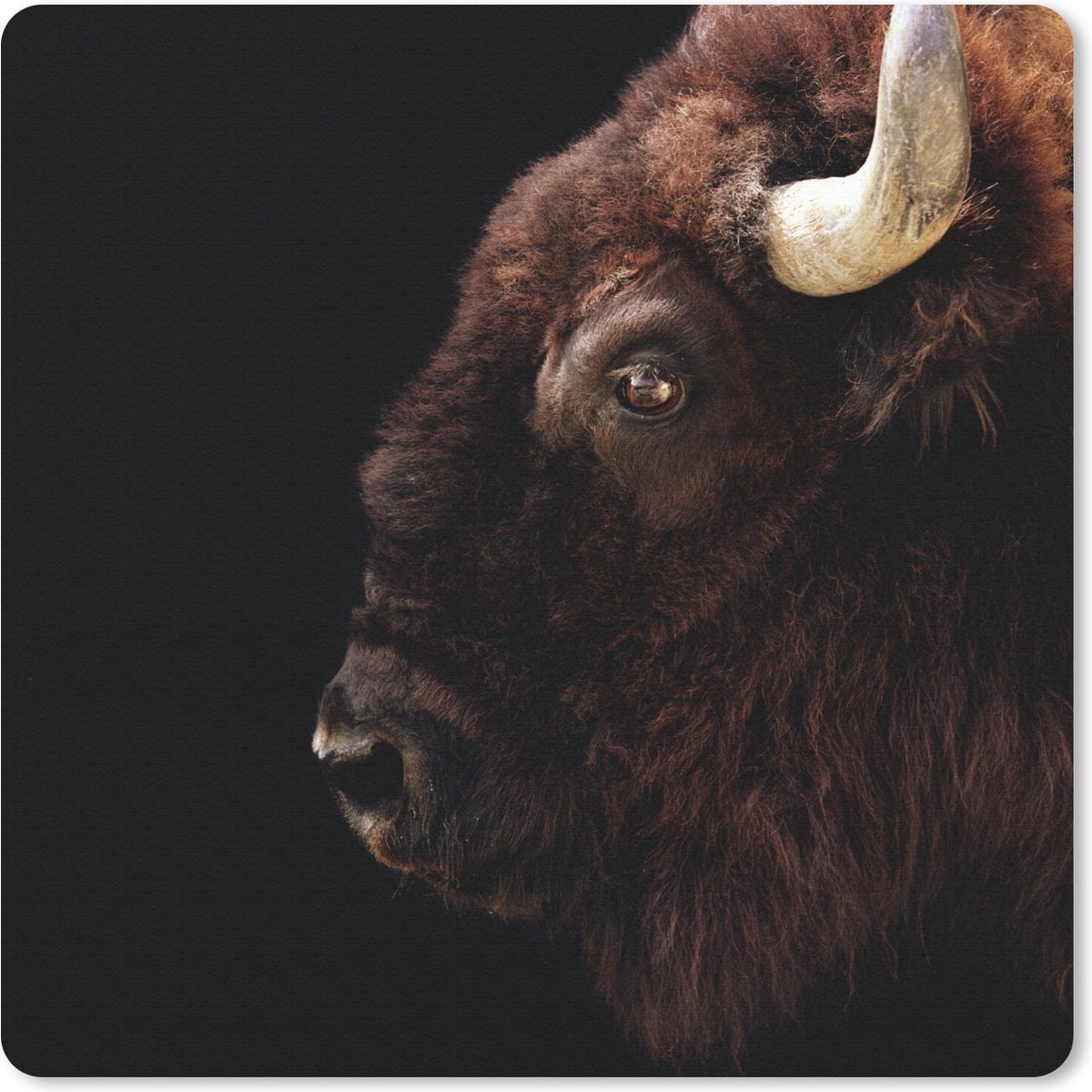 Muismat 30x30 cm - Mousepad Bizon - Hoorn - Portret - Muismatten