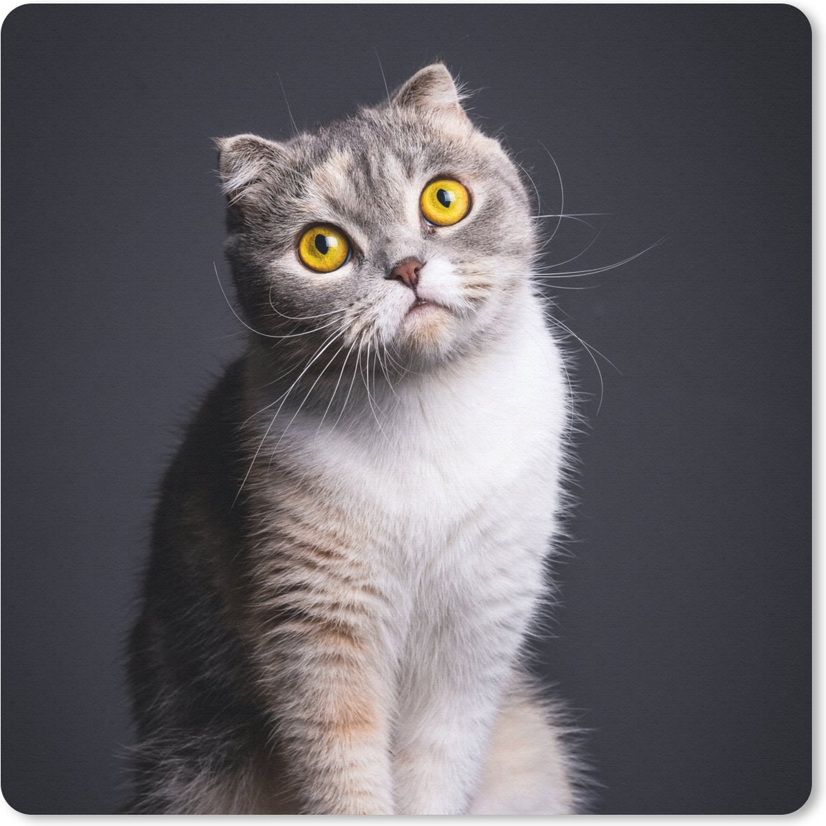 Muismat 30x30 cm - Mousepad Kat - Ogen - Licht - Muismatten